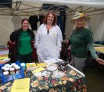 Kersal Moor Fruits of the Earth Festival 2015